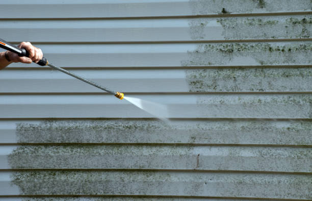 Best Deck and Patio Pressure Washing in Mount Carmel, PA
